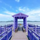 신안 <b>퍼플</b>섬 반월도 박지도 트레킹