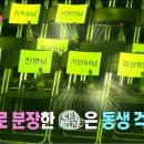 나래패션 - 과천시 문원청계길 22 | 나래패션