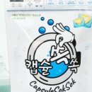 캡슐M 이미지