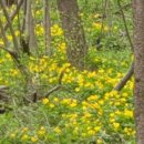 만인산자연휴양림 이미지