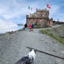 라이딩의 성지 이태리 스텔비오 고개(Passo Stelvio) 오르기 이미지