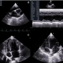 금강축산가축병원 이미지