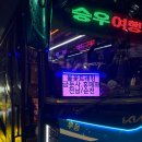 순천 금전산 금둔사 홍매화_25년 매화 개화 시기 봄꽃여행 추천
