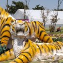 임자농협협동조합 이미지