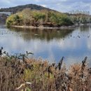 서호공원 이미지