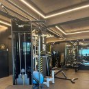 비바라짐 이미지