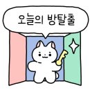 래빗온더문 이미지