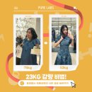 모랩스