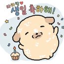 마이쥬 | 2026 생일선물 언박싱 후기
