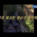 극락둑길 이미지