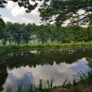 가산수피아 이미지