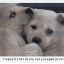 천두농장 티스토리