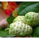 노니카페 이미지