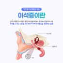 본이비인후과 이미지