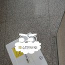 철원 맛집 둠지능이버섯백숙 택배시켜 집에서 몸보신 제대로 하기