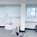 망원견 애견유치원&애견호텔 이미지