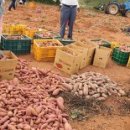 서해5농장 이미지