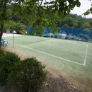 용인나무이야기 이미지