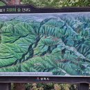 삼척 활기 치유의 숲 이미지