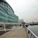 자갈치시장 이미지