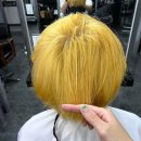 컬러리프 이미지