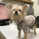 정종합동물병원 이미지