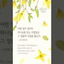 오늘의 '신앙 명언'(326강) 스캇 헤이프먼(Scott Hafemann) 이미지