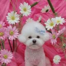 개운한날 이미지