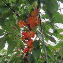 신현중농장 이미지