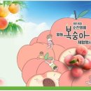 월등면 행정복지센터 이미지