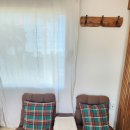 제주애월당귤 이미지