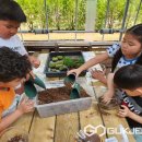 판동초등학교송죽분교장 이미지