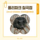 폴리파크 | 대구 칠곡 반려동물 동반 가능한 펫샵 폴리파크 칠곡점 24시간 무인 쇼핑 후기