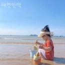 성천길 | 맛조개체험 해변민박 맛조개체험하고 갯벌체험펜션 숙박까지 한번에!