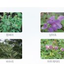 (주)생태조경 네이버블로그