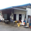 연산장터순대 이미지