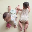 용답 아리따움 피부관리 | [쌍둥이 아들 육아일기 24] 209~219일, 드디어 이유식 두 끼 시작 & 일흠이 윗니, 이흠이 아랫니가 뿅🤸‍♂️