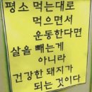 (주)돼지세상