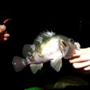 파미리더 이미지