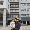 김해낙동강레일파크 | 4.20 / 김해 생림 유채꽃 낙동강 레일파크, 김해유채꽃축제