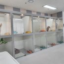 쉬다가개 애견호텔유치원 이미지