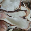 군산오언니 이미지