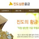 진도삼촌울금 이미지