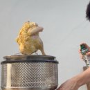 멀티 캠핑 그릴 콥그릴 프리미어로 직접 만든 9가지 옥상 캠핑 요리