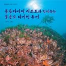 울릉다이버리조트 이미지