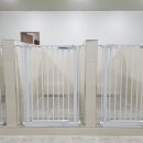 파트라슈반려견학교 이미지