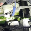 로뎀모터스 이미지