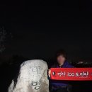 365섬섬클린