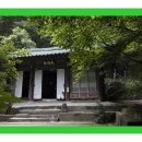 더덕산채
