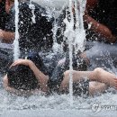 들샘어린이공원 이미지